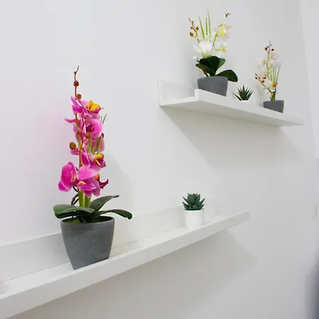 Civico 513 아파트 레조디칼라브리아